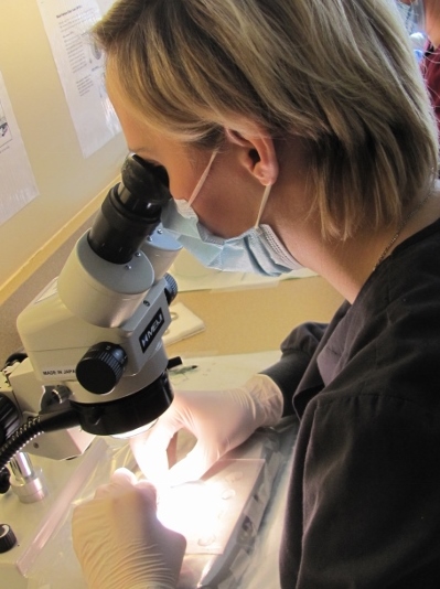 tech_with_microscope.jpg tech_with_microscope.jpg